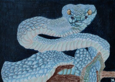 Disegno intitolato "Serpent bleu" da Noémie Richard, Opera d'arte originale, Matita