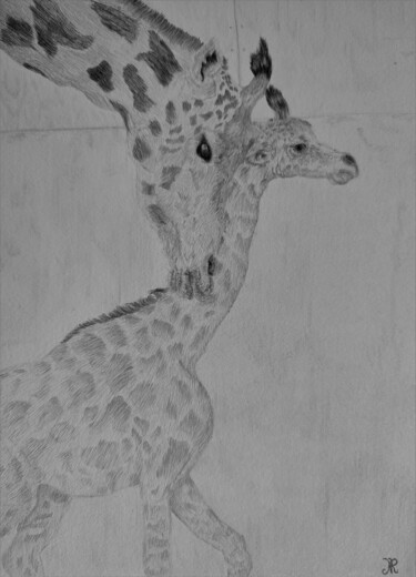 Drawing titled "Girafe et son petit" by Noémie Richard, Original Artwork, Graphite