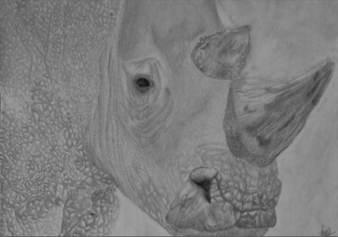 Drawing titled "Rhinocéros" by Noémie Richard, Original Artwork, Graphite