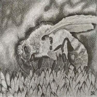 Drawing titled "Abeille à miel" by Noémie Richard, Original Artwork, Graphite