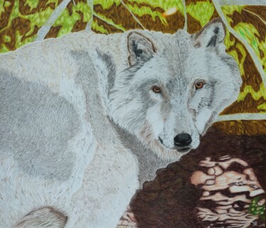 Dessin intitulée "Loup" par Noémie Richard, Œuvre d'art originale, Crayon