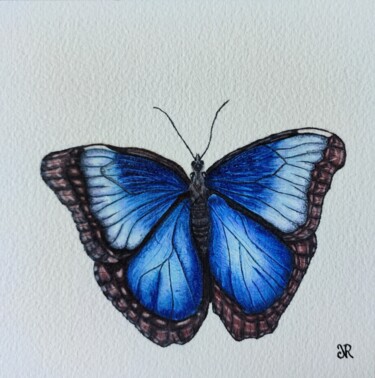 Drawing titled "Morpho Bleu" by Noémie Richard, Original Artwork, Pencil