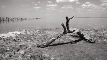 Фотография под названием "Salt lake" - Artem Lebedev, Подлинное произведение искусства, Цифровая фотография