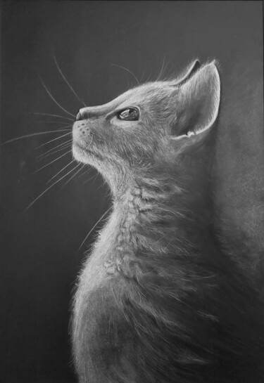 Drawing titled "Mirando la salida" by Artemartín, Original Artwork, Pastel