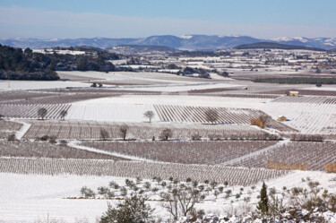 Photographie intitulée "Hiver en Languedoc" par Artenseo, Œuvre d'art originale, Photographie numérique