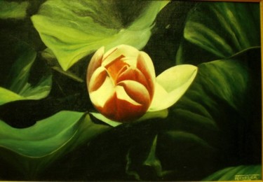 Peinture intitulée "Fleur de nénuphar" par André Teyssier, Œuvre d'art originale, Huile