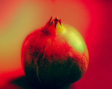 Fotografie mit dem Titel "Pomegranate III" von Ines Markwardt, Original-Kunstwerk, Manipulierte Fotografie