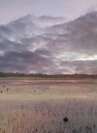 Photography titled "A Northern Bayou" by Artistry By Ajanta, Original Artwork, Digital Photography