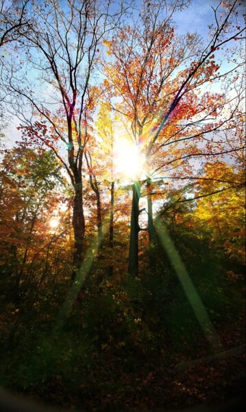 Fotografie mit dem Titel "Autumn Sunlight" von Artistry By Ajanta, Original-Kunstwerk, Digitale Fotografie