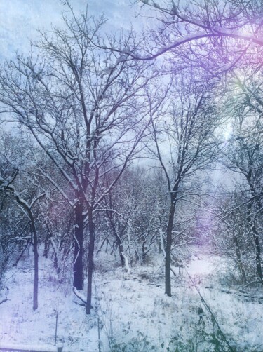 Fotografie mit dem Titel "Snow Flurries" von Artistry By Ajanta, Original-Kunstwerk, Digitale Fotografie