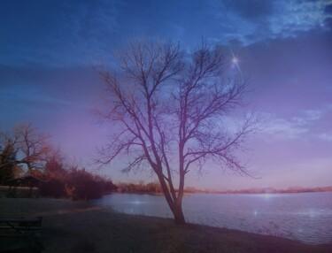 Photographie intitulée "Evening Twinkles" par Artistry By Ajanta, Œuvre d'art originale, Photographie numérique