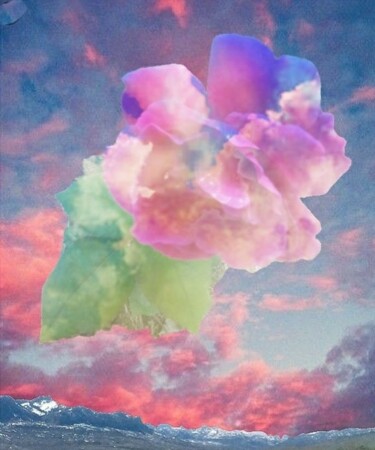 Photography titled "A Rosey Outlook" by Artistry By Ajanta, Original Artwork, Digital Photography