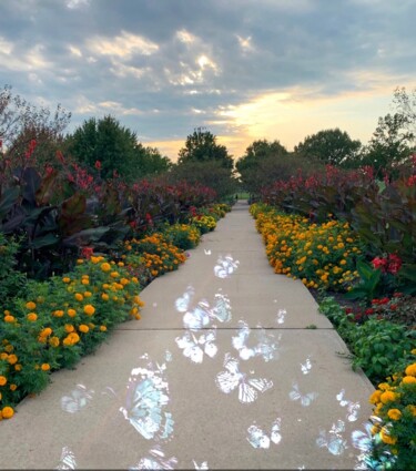 Φωτογραφία με τίτλο "Garden Stroll" από Artistry By Ajanta, Αυθεντικά έργα τέχνης, Ψηφιακή φωτογραφία