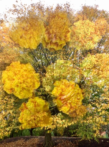 Fotografie getiteld "November Leaves" door Artistry By Ajanta, Origineel Kunstwerk, Digitale fotografie