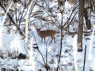 Fotografie mit dem Titel "Winter In The Woods" von Artistry By Ajanta, Original-Kunstwerk, Digitale Fotografie