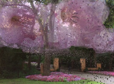 Fotografie getiteld "Splendid Blossoms" door Artistry By Ajanta, Origineel Kunstwerk, Digitale fotografie