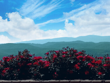 Photographie intitulée "Mountain Flowers" par Artistry By Ajanta, Œuvre d'art originale, Photographie numérique