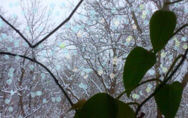 Photography titled "Winter's First Snow" by Artistry By Ajanta, Original Artwork