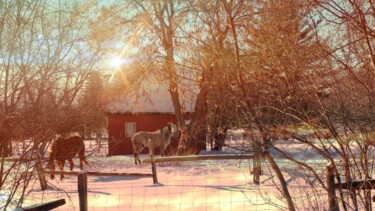 Photography titled "Two Horses Mucking…" by Artistry By Ajanta, Original Artwork