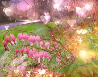 Photography titled "Bleeding Heart Flow…" by Artistry By Ajanta, Original Artwork, Digital Photography