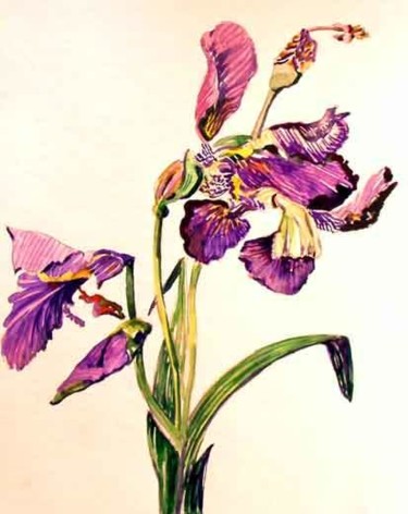 Painting titled "Iris" by Newman Mindy, Original Artwork, Oil