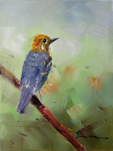 Painting titled "Sparrow #005" by James Shang, Original Artwork, Oil Mounted on Wood Stretcher frame