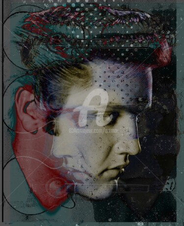 Digital Arts titled "The King (Elvis)" by Art Moé, Original Artwork, 2D Digital Work Mounted on Aluminium