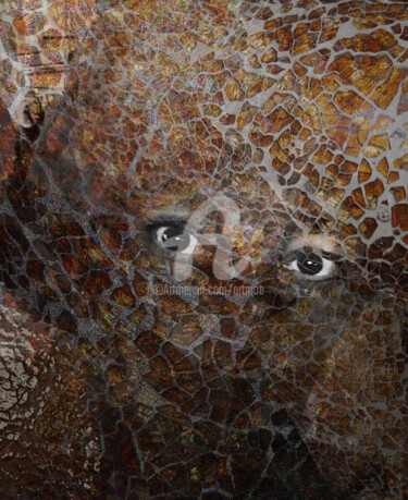 Digitale Kunst mit dem Titel "Wüstenblume" von Art Moé, Original-Kunstwerk, Fotomontage