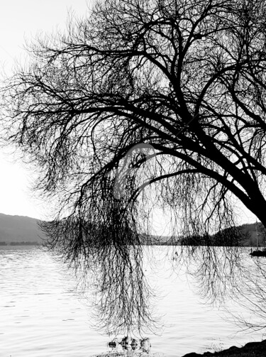 Fotografie mit dem Titel "Lake" von Art Moé, Original-Kunstwerk, Digitale Fotografie