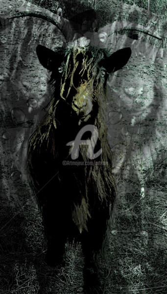 Digital Arts titled "Goat "Edgar"" by Art Moé, Original Artwork, Digital Photography