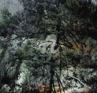Photographie intitulée "Buddha Tree" par Art Moé, Œuvre d'art originale, Photographie manipulée