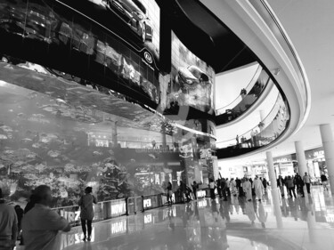 Fotografía titulada "Dubai  Mall Aquarium" por Art Moé, Obra de arte original, Fotografía digital
