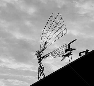 Fotografia zatytułowany „Fly” autorstwa Art Moé, Oryginalna praca, Fotografia cyfrowa