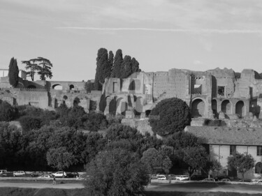 Photographie intitulée "Rom" par Art Moé, Œuvre d'art originale, Photographie numérique