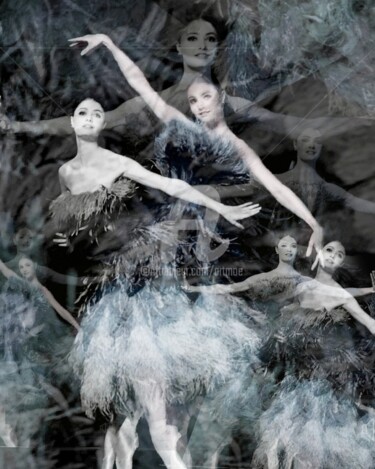 Arts numériques intitulée "Prima Ballerina's" par Art Moé, Œuvre d'art originale, Photo montage