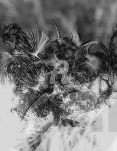 Фотография под названием "Black&White" - Art Moé, Подлинное произведение искусства, Цифровая фотография