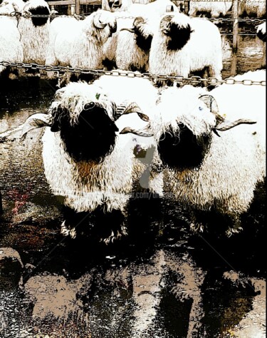 Digitale Kunst mit dem Titel "Sheep's" von Art Moé, Original-Kunstwerk, Digitale Malerei