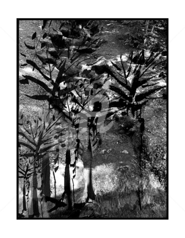 Arte digital titulada "Forest" por Art Moé, Obra de arte original, Foto-montaje