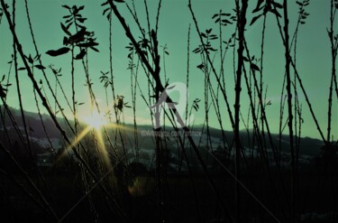Фотография под названием "SUN Light" - Art Moé, Подлинное произведение искусства, Манипулированная фотография