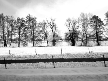 Photographie intitulée "WinterWonderland #1" par Art Moé, Œuvre d'art originale, Photographie numérique