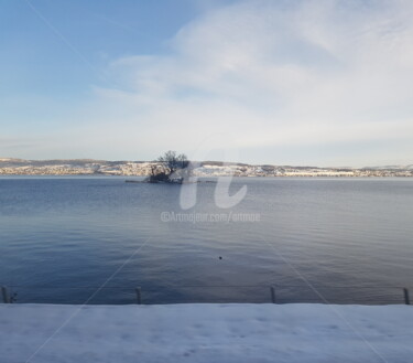 Fotografía titulada "Winter lakeside" por Art Moé, Obra de arte original, Fotografía digital