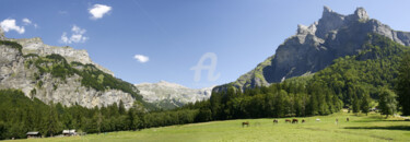 Fotografia zatytułowany „Les Alpes en Haute…” autorstwa Monique Pouzet, Oryginalna praca, Fotografia nie manipulowana