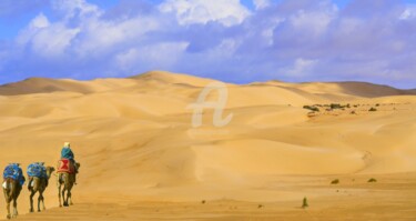 Photographie intitulée "Balade dans les dun…" par Monique Pouzet, Œuvre d'art originale, Photographie numérique