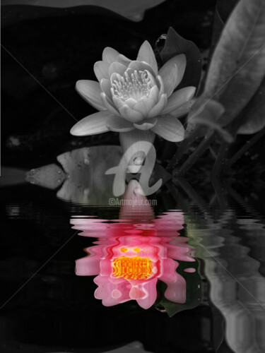 Fotografie mit dem Titel "Lotus" von Monique Pouzet, Original-Kunstwerk, Digitale Fotografie