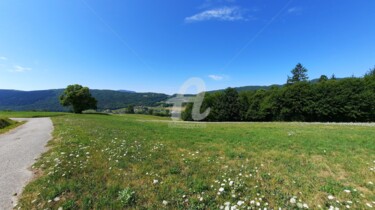 Photography titled "Campagne" by Monique Pouzet, Original Artwork, Non Manipulated Photography