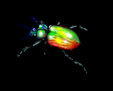 Arts numériques intitulée "scarabee" par Morgane Fondrillon, Œuvre d'art originale