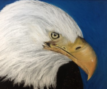 Painting titled "Aigle à tête blanche" by Obrey, Original Artwork, Pastel