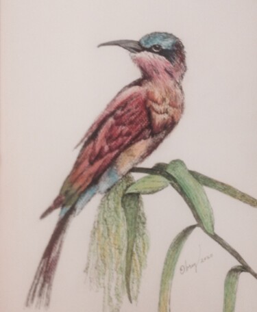 Painting titled "Oiseau rose" by Obrey, Original Artwork, Watercolor