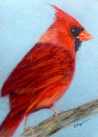 Drawing titled "Cardinal" by Obrey, Original Artwork, Pastel