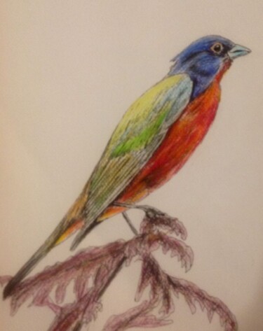 Peinture intitulée "Oiseau à tête bleue" par Obrey, Œuvre d'art originale, Crayon